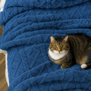 [Llevá 2 Pagá 1] Edredón en Lana Suave con Diseño en Relieve + REGALOS: 2 Fundas para Almohadas